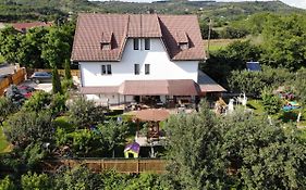 Podgoria Guesthouse- Camere de închiriat